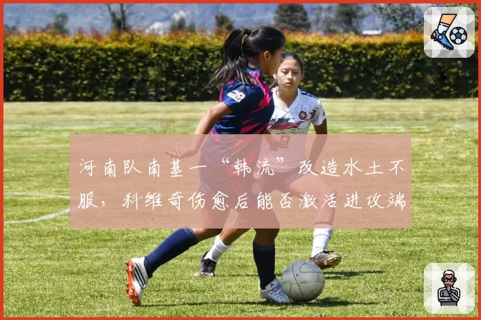 河南队南基一“韩流”改造水土不服，科维奇伤愈后能否激活进攻端？