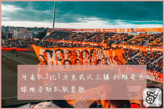 河南队2比1力克武汉三镇 科维奇头球绝杀助队取首胜